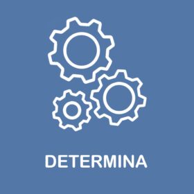 immagine determina